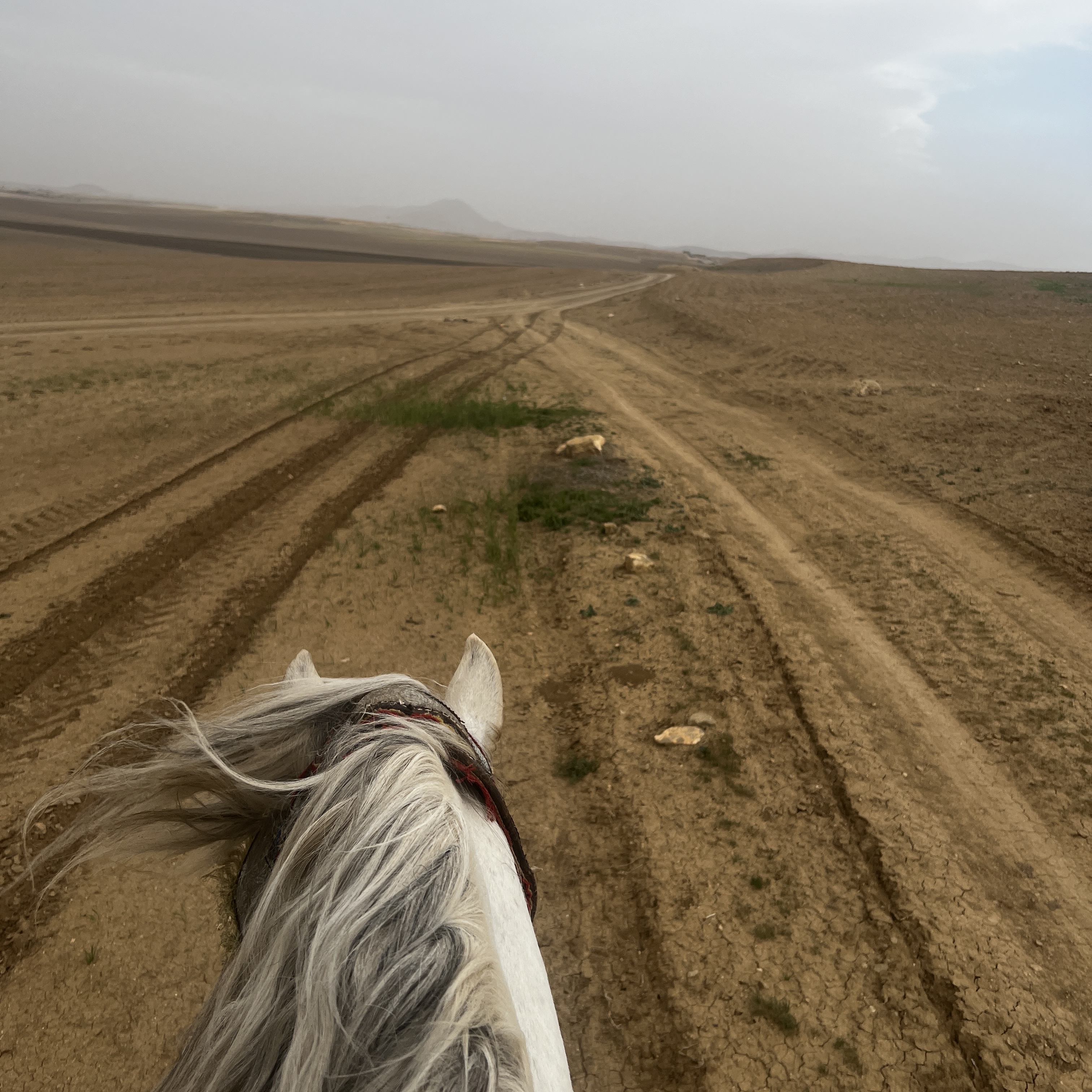 Horse riding 2